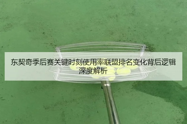 东契奇季后赛关键时刻使用率联盟排名变化背后逻辑深度解析