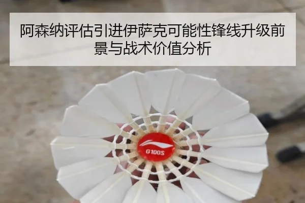 阿森纳评估引进伊萨克可能性锋线升级前景与战术价值分析