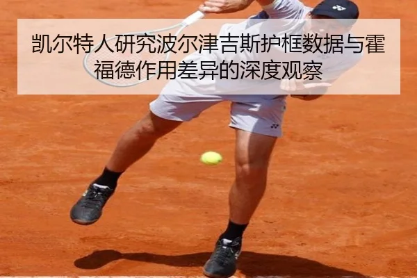 凯尔特人研究波尔津吉斯护框数据与霍福德作用差异的深度观察