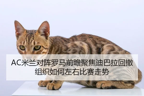 AC米兰对阵罗马前瞻聚焦迪巴拉回撤组织如何左右比赛走势